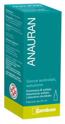 ANAURAN*GTT AURIC FL 25ML - Farmadott.it
