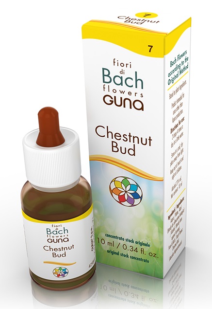 CHESTNUT BUD GOCCE 10 ML - Farmadott.it