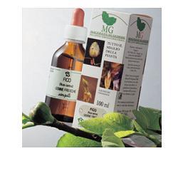 ROSA CANINA MACERATO GLICERICO 100 ML - Farmadott.it