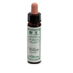 AINSWORTHS WILLOW 10ML - Farmadott.it