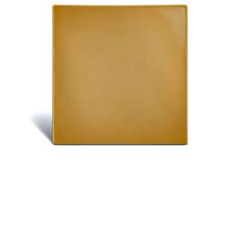 BARRIERA CUTANEA INTERAMENTE IN STAMAHESIVE PER LA PROTEZIONE DELL'AREA PERISTOMALE PLACCA STOMAHESIVE 20X20CM 3 PEZZI - Farmadott.it