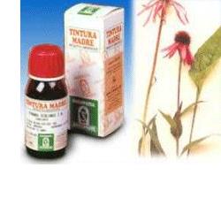 ECHINACEA 59 50ML TM - Farmadott.it