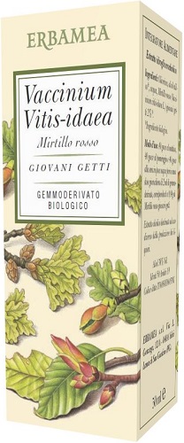 VACCINIUM VITIS IDAEA MIRTILLO ROSSO BIO 50 ML - Farmadott.it
