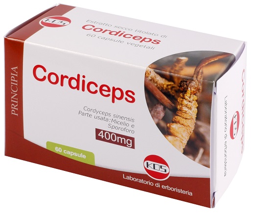 CORDICEPS ESTRATTO SECCO 60 CAPSULE - Farmadott.it