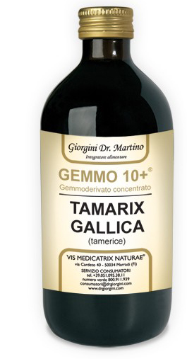 GEMMO 10+ GEMMODERIVATO CONCENTRATO LIQUIDO ANALCOLICO TAMARIX GALLICA TAMERICE 500 ML - Farmadott.it