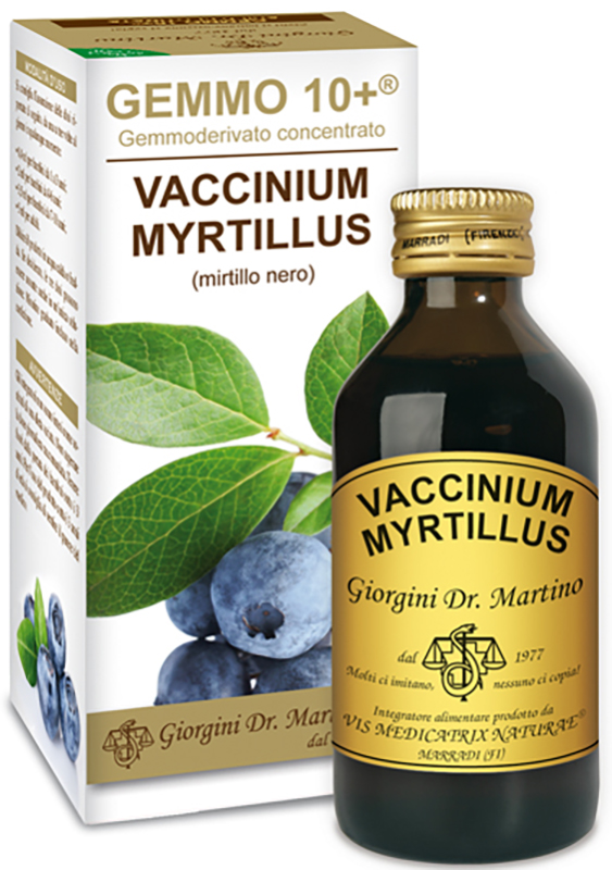 GEMMO 10+ GEMMODERIVATO CONCENTRATO VACCINIUM MYRTILLUS MIRTILLO NERO SENZA ALCOOL 100 ML - Farmadott.it