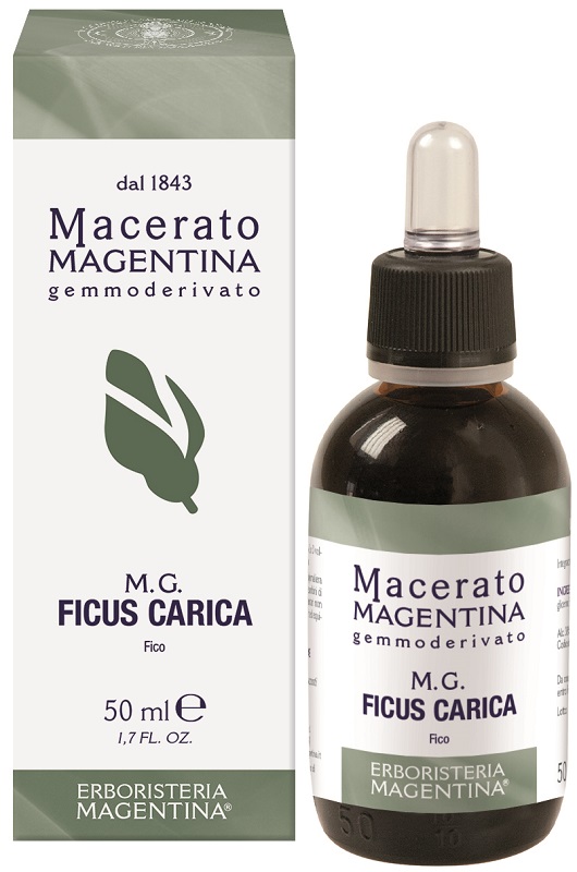 FICUS CARICA MACERATO MAGENTINA 50 ML - Farmadott.it