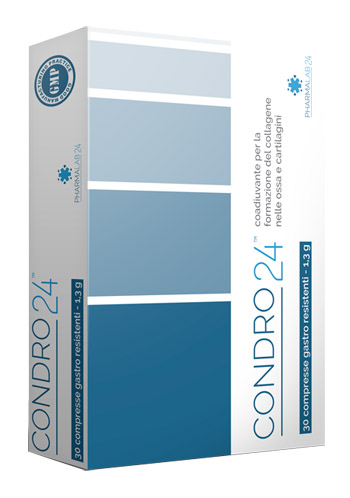 CONDRO24 30 COMPRESSE - Farmadott.it