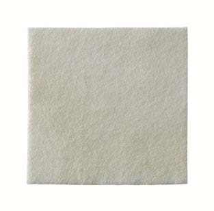 MEDICAZIONE BIATAIN ALGINATE AG ALGINATO CON ARGENTO 5X5CM 30 PEZZI - Farmadott.it