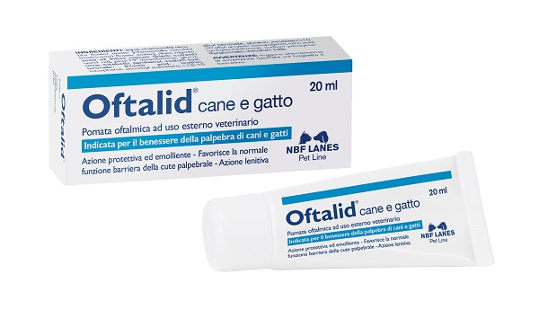 OFTALID POMATA OFTALMICA 20 ML - Farmadott.it
