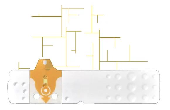 STRISCE MISURAZIONE GLICEMIA LINEA D ORO 50 PEZZI - Farmadott.it