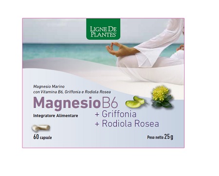 MAGNESIO B6 + GRIFFONIA + RODIOLA 60 CAPSULE - Farmadott.it