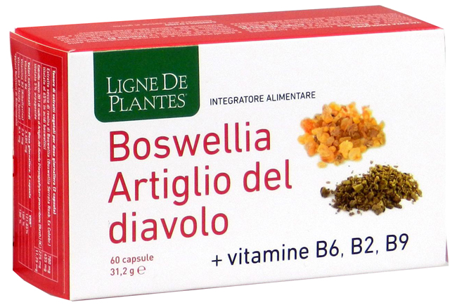 BOSWELLIA ARTIGLIO DIAVOLO VITAMINE B2 B6 B9 60 CAPSULE - Farmadott.it