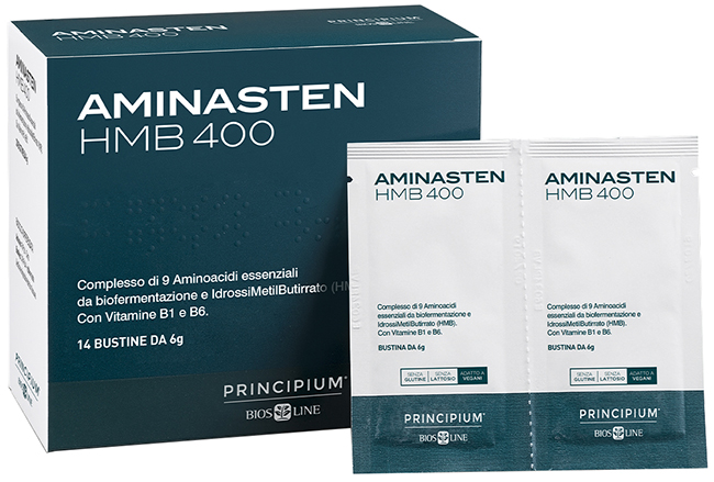 PRINCIPIUM AMINASTEN HMB400 14 BUSTINE 6 G - Farmadott.it
