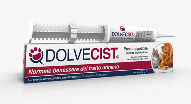 DOLVECIST PASTA SIRINGA 30 G - Farmadott.it