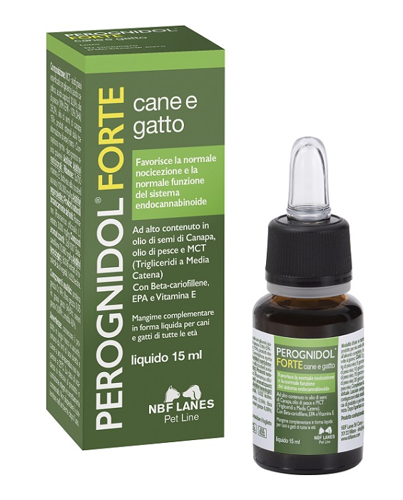 PEROGNIDOL FORTE 15 ML - Farmadott.it