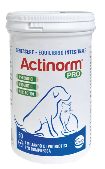 ACTINORM PRO FLACONE 60 COMPRESSE - Farmadott.it