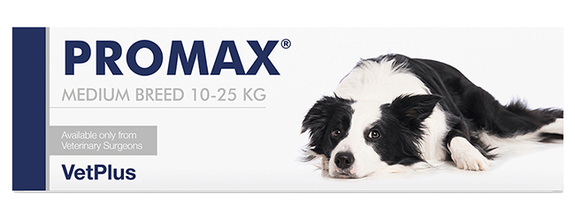 PROMAX MEDIUM BREED 18 ML - Farmadott.it