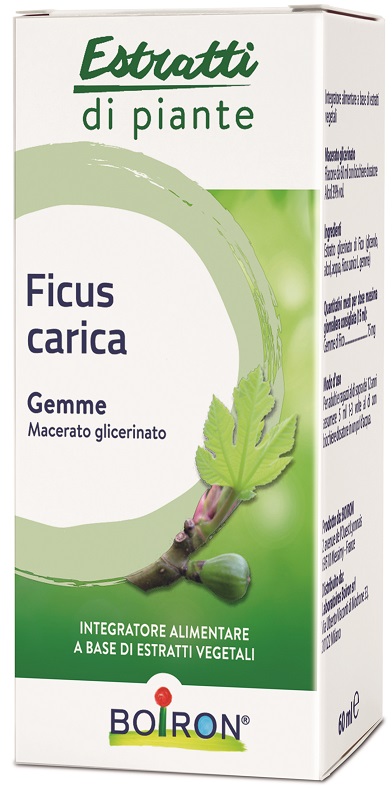 FICUS CARICA BOIRON MACERATO GLICERICO 60 ML - Farmadott.it