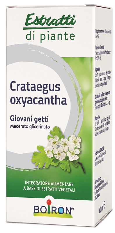 CRATAEGUS BOIRON MACERATO GLICERICO 60 ML - Farmadott.it