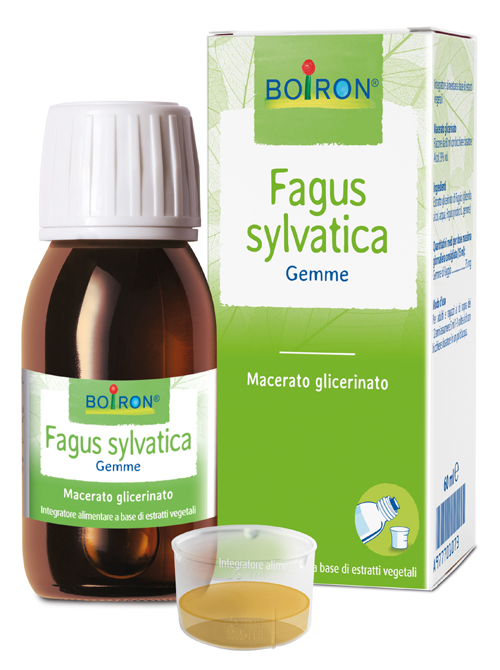 FAGUS SYLVATICA BOIRON MACERATO GLICERICO 60 ML - Farmadott.it
