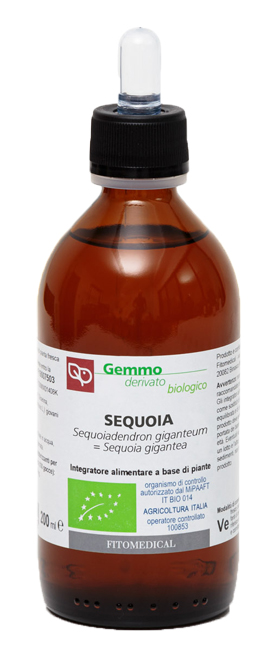SEQUOIA MACERATO GLICERICO 200 ML BIO - Farmadott.it