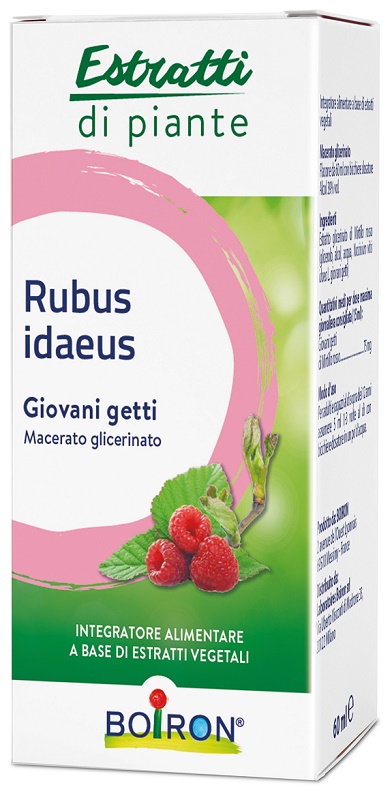 RUBUS IDAEUS BOIRON MACERATO GLICERICO 60 ML - Farmadott.it