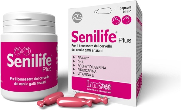 SENILIFE PLUS 60 CAPSULE - Farmadott.it