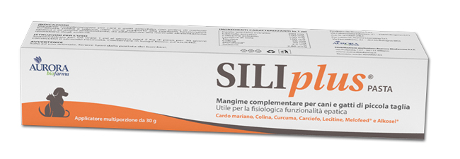 SILIPLUS PASTA 30 G - Farmadott.it