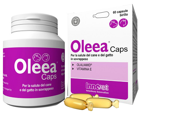 OLEEA CAPS 60 CAPSULE - Farmadott.it