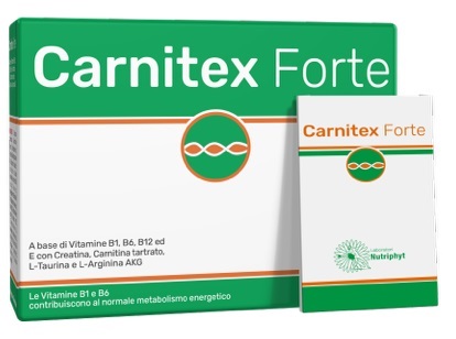 CARNITEX FORTE 14 BUSTINE - Farmadott.it